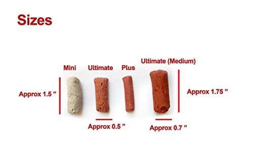 Your one-stop shop for diverse, top-quality aquarium supplies and accessories