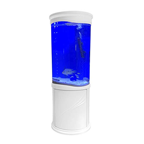 Your one-stop shop for diverse, top-quality aquarium supplies and accessories