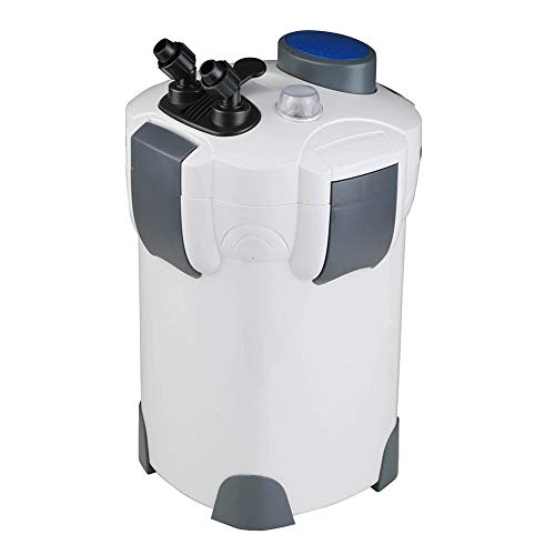 Your one-stop shop for diverse, top-quality aquarium supplies and accessories