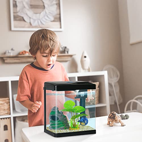 Your one-stop shop for diverse, top-quality aquarium supplies and accessories
