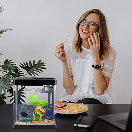 Your one-stop shop for diverse, top-quality aquarium supplies and accessories