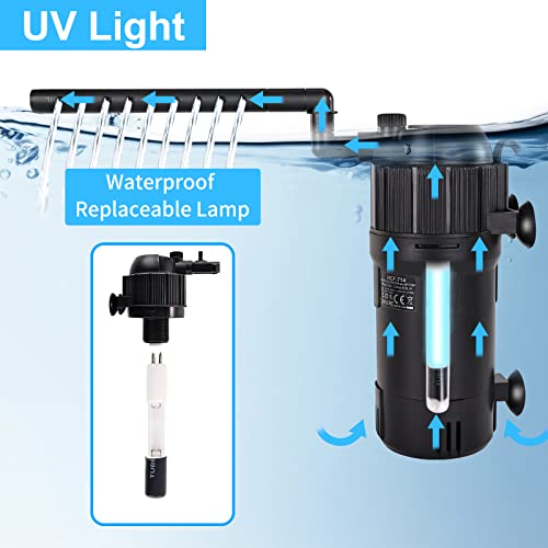 Your one-stop shop for diverse, top-quality aquarium supplies and accessories