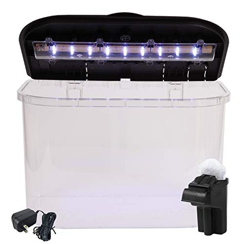 Your one-stop shop for diverse, top-quality aquarium supplies and accessories