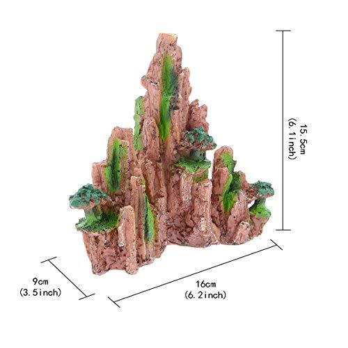 Your one-stop shop for diverse, top-quality aquarium supplies and accessories