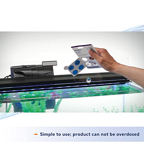 Your one-stop shop for diverse, top-quality aquarium supplies and accessories