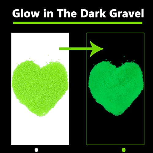 Your one-stop shop for diverse, top-quality aquarium supplies and accessories