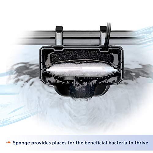 Your one-stop shop for diverse, top-quality aquarium supplies and accessories