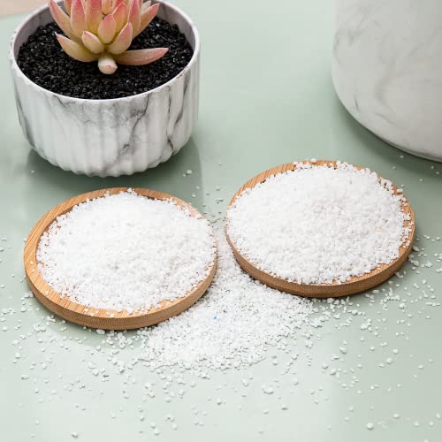 Your one-stop shop for diverse, top-quality aquarium supplies and accessories