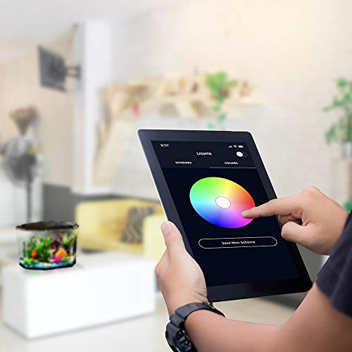 Your one-stop shop for diverse, top-quality aquarium supplies and accessories