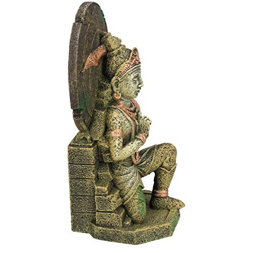 Your one-stop shop for diverse, top-quality aquarium supplies and accessories