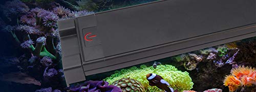 Your one-stop shop for diverse, top-quality aquarium supplies and accessories