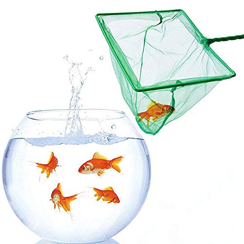 Your one-stop shop for diverse, top-quality aquarium supplies and accessories