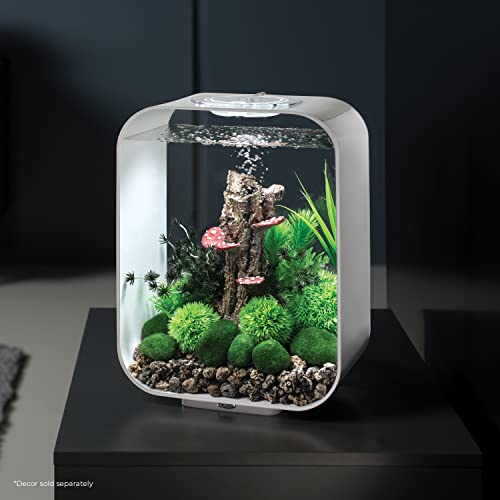 Your one-stop shop for diverse, top-quality aquarium supplies and accessories