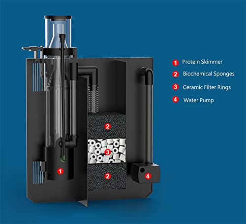 Your one-stop shop for diverse, top-quality aquarium supplies and accessories