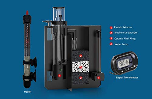 Your one-stop shop for diverse, top-quality aquarium supplies and accessories