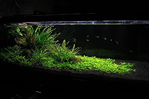Your one-stop shop for diverse, top-quality aquarium supplies and accessories