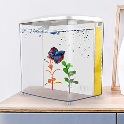 Your one-stop shop for diverse, top-quality aquarium supplies and accessories