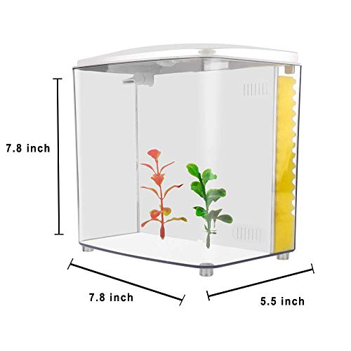 Your one-stop shop for diverse, top-quality aquarium supplies and accessories