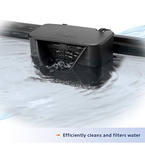 Your one-stop shop for diverse, top-quality aquarium supplies and accessories
