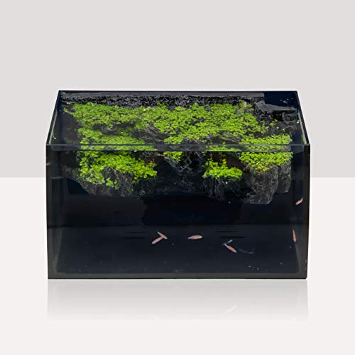 Your one-stop shop for diverse, top-quality aquarium supplies and accessories