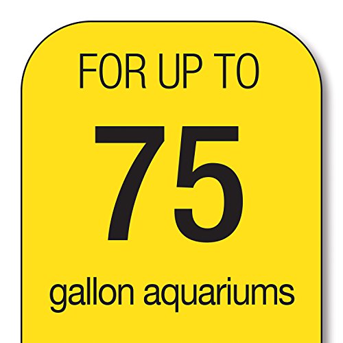 Your one-stop shop for diverse, top-quality aquarium supplies and accessories