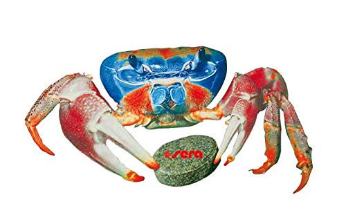 Your one-stop shop for diverse, top-quality aquarium supplies and accessories