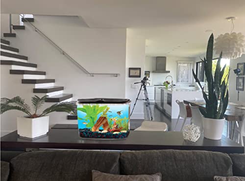 Your one-stop shop for diverse, top-quality aquarium supplies and accessories