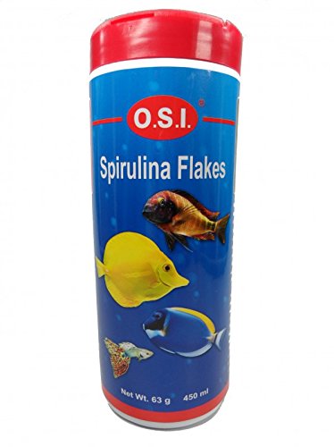 Your one-stop shop for diverse, top-quality aquarium supplies and accessories