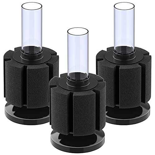 Your one-stop shop for diverse, top-quality aquarium supplies and accessories