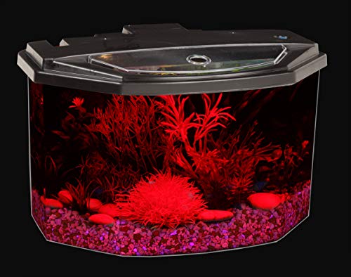 Your one-stop shop for diverse, top-quality aquarium supplies and accessories