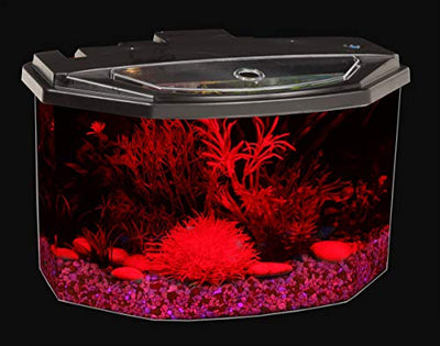 Your one-stop shop for diverse, top-quality aquarium supplies and accessories