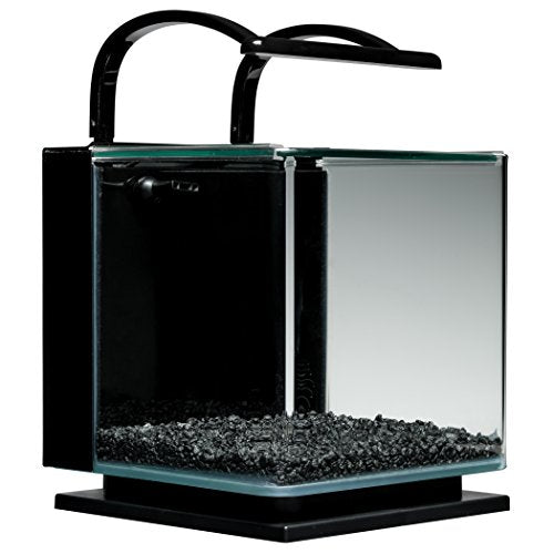 Your one-stop shop for diverse, top-quality aquarium supplies and accessories