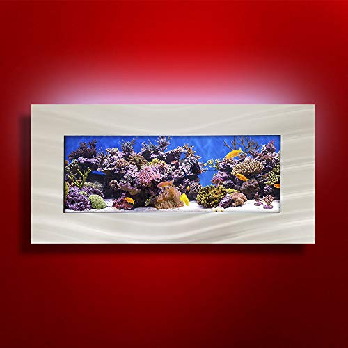 Your one-stop shop for diverse, top-quality aquarium supplies and accessories