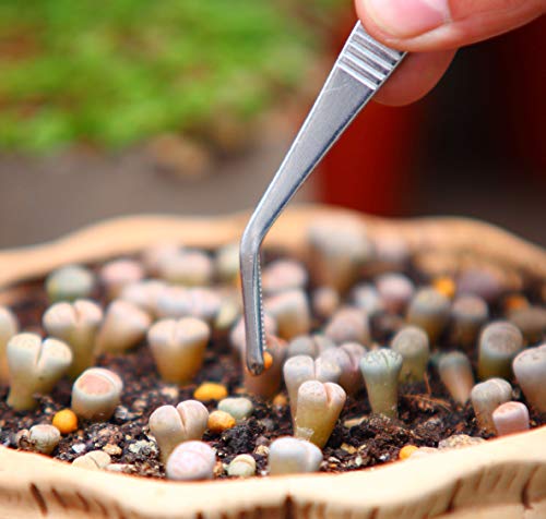 Your one-stop shop for diverse, top-quality aquarium supplies and accessories