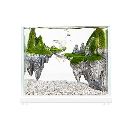 Your one-stop shop for diverse, top-quality aquarium supplies and accessories
