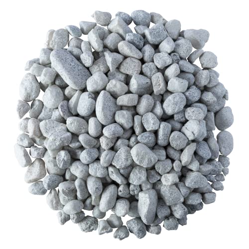 Your one-stop shop for diverse, top-quality aquarium supplies and accessories