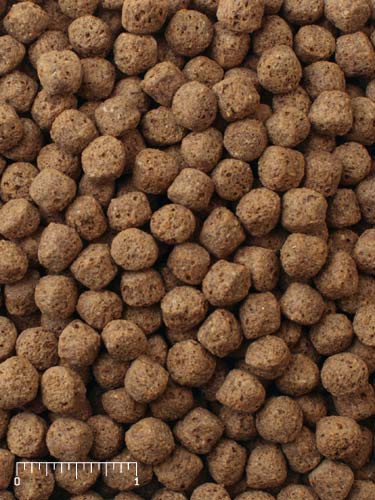 Your one-stop shop for diverse, top-quality aquarium supplies and accessories