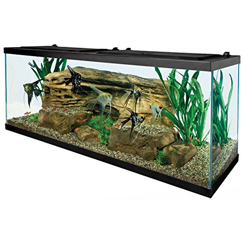 Tetra 55 Gallon Aquarium Kit with Fish Tank, Fish Net, Fish Food, Filt – Supply AG Tetra 55 Gallon Aquarium Kit with Fish Tank, Fish Net, Fish Food, Filt – Supply AG