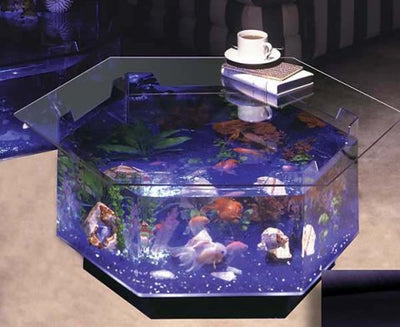 Your one-stop shop for diverse, top-quality aquarium supplies and accessories