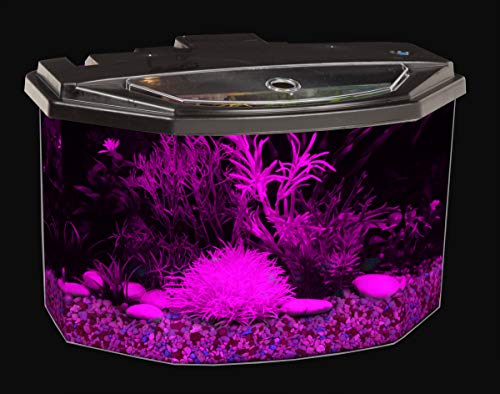 Your one-stop shop for diverse, top-quality aquarium supplies and accessories