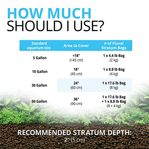 Your one-stop shop for diverse, top-quality aquarium supplies and accessories