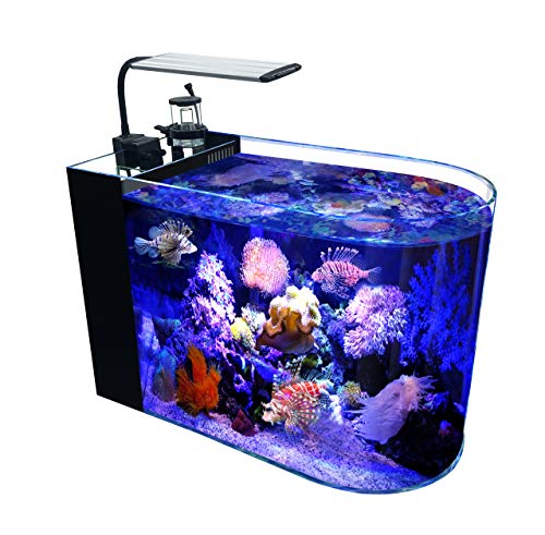 cheap saltwater fish accessories GankPike 12 Gallon Saltwater Aquarium Full Bullnose Shape Low Iron Aqu – Supply AG