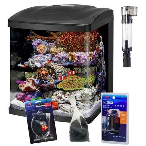 Your one-stop shop for diverse, top-quality aquarium supplies and accessories