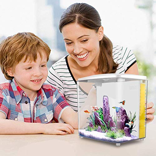 Your one-stop shop for diverse, top-quality aquarium supplies and accessories