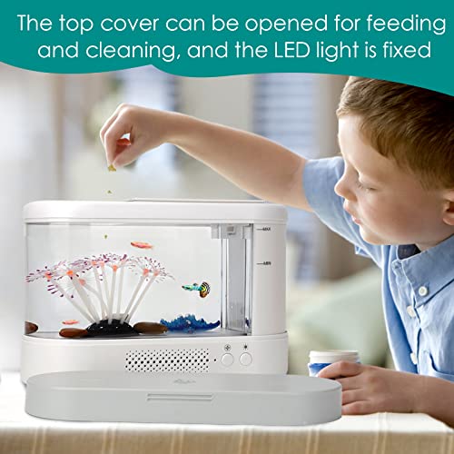 Your one-stop shop for diverse, top-quality aquarium supplies and accessories