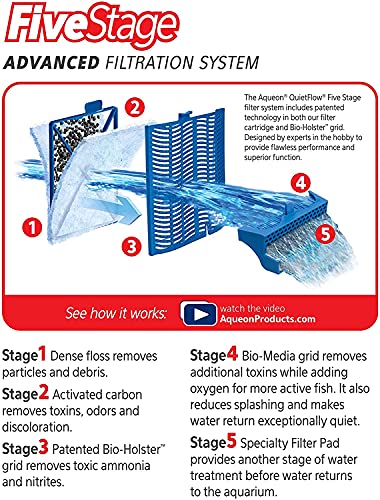 Your one-stop shop for diverse, top-quality aquarium supplies and accessories