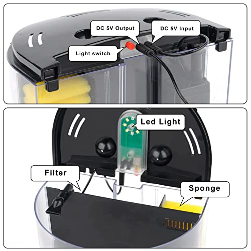 Your one-stop shop for diverse, top-quality aquarium supplies and accessories