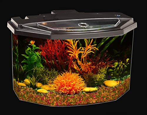 Your one-stop shop for diverse, top-quality aquarium supplies and accessories