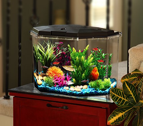 Your one-stop shop for diverse, top-quality aquarium supplies and accessories