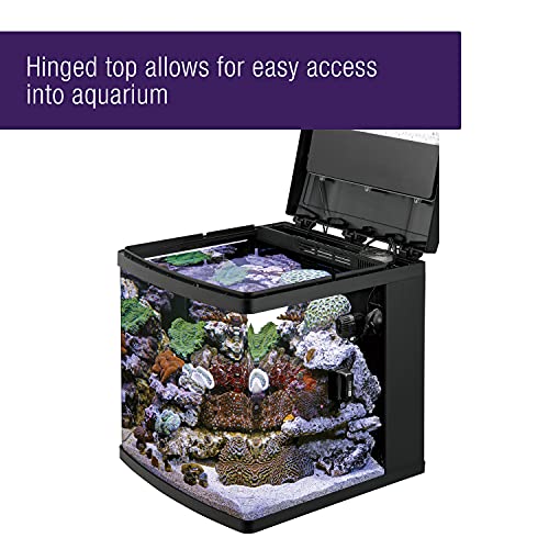 Your one-stop shop for diverse, top-quality aquarium supplies and accessories